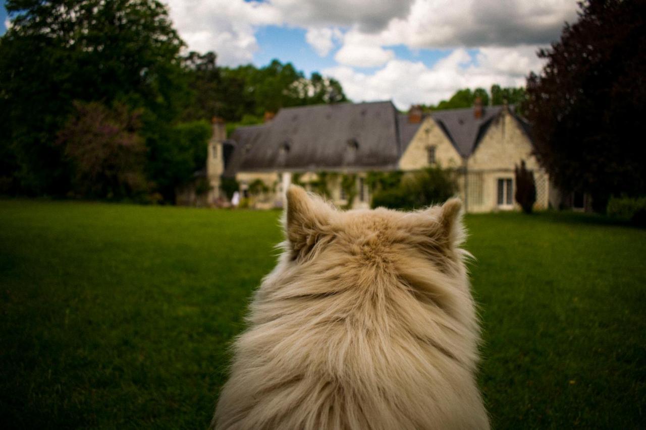Bed & Breakfast - La Closerie De La Fuye Ballan-Mire Екстер'єр фото